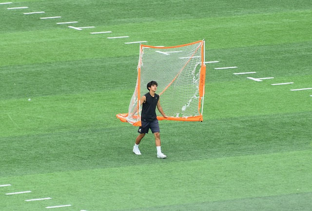 两位强援的