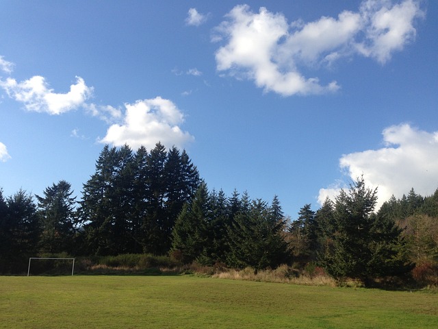 实现了数据