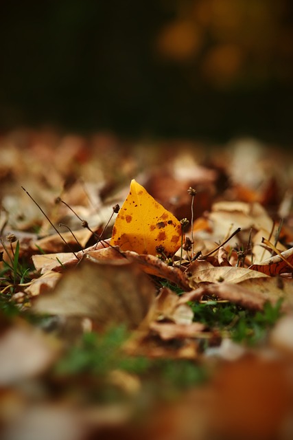 无战术可言 无战术可言