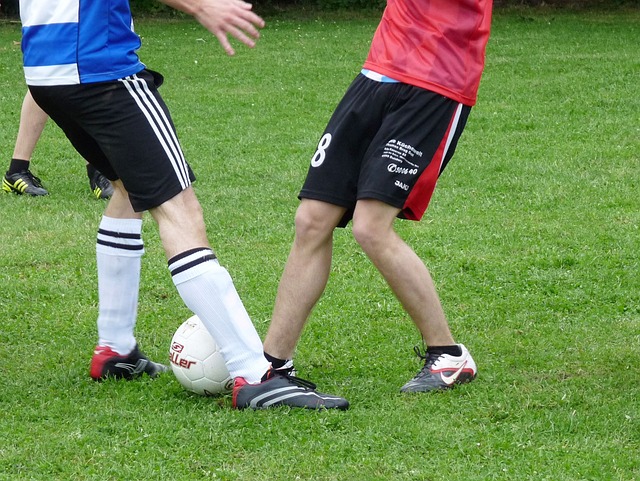 在篮球场上 在篮球场上