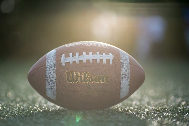 场复仇之战 场复仇之战