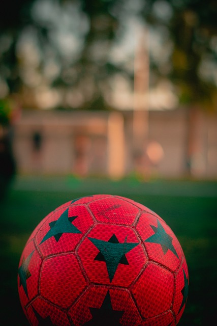 除了查洛巴 除了查洛巴