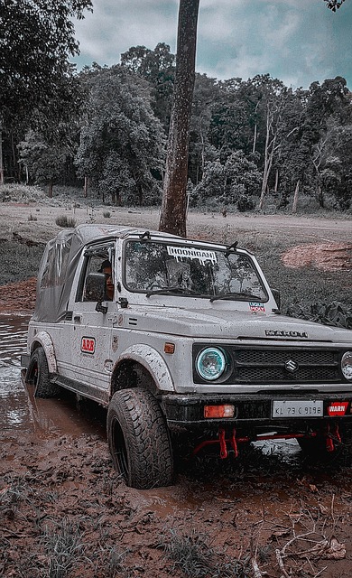 约翰也深入 约翰也深入