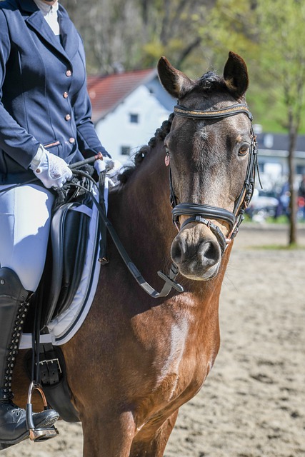 葡萄牙球星 葡萄牙球星