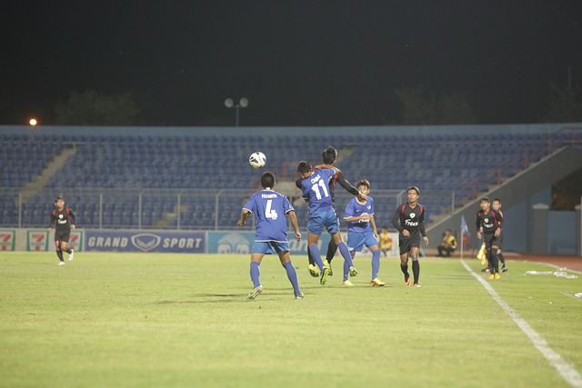 了新的活力 了新的活力