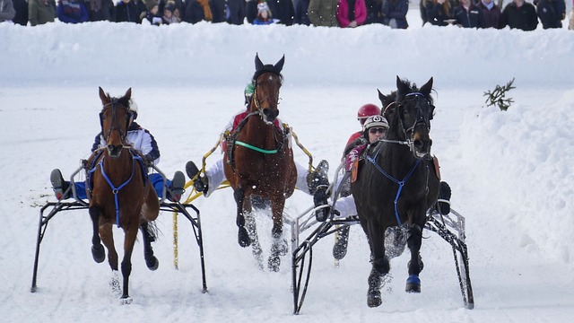这个村庄开 这个村庄开