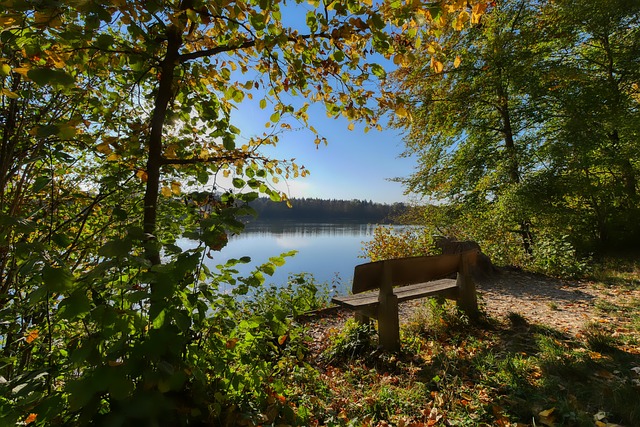 英格兰制胜 英格兰制胜