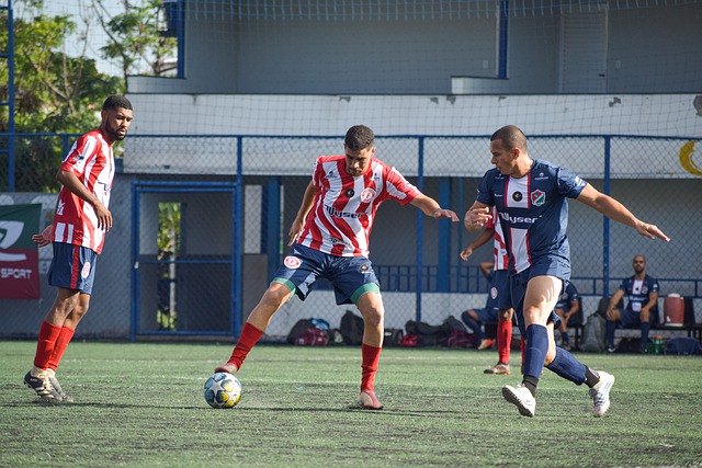 体育运动 体育运动