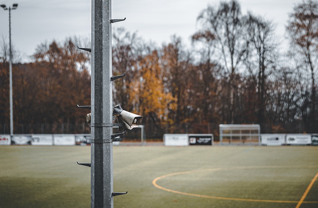 作为主帅留 作为主帅留