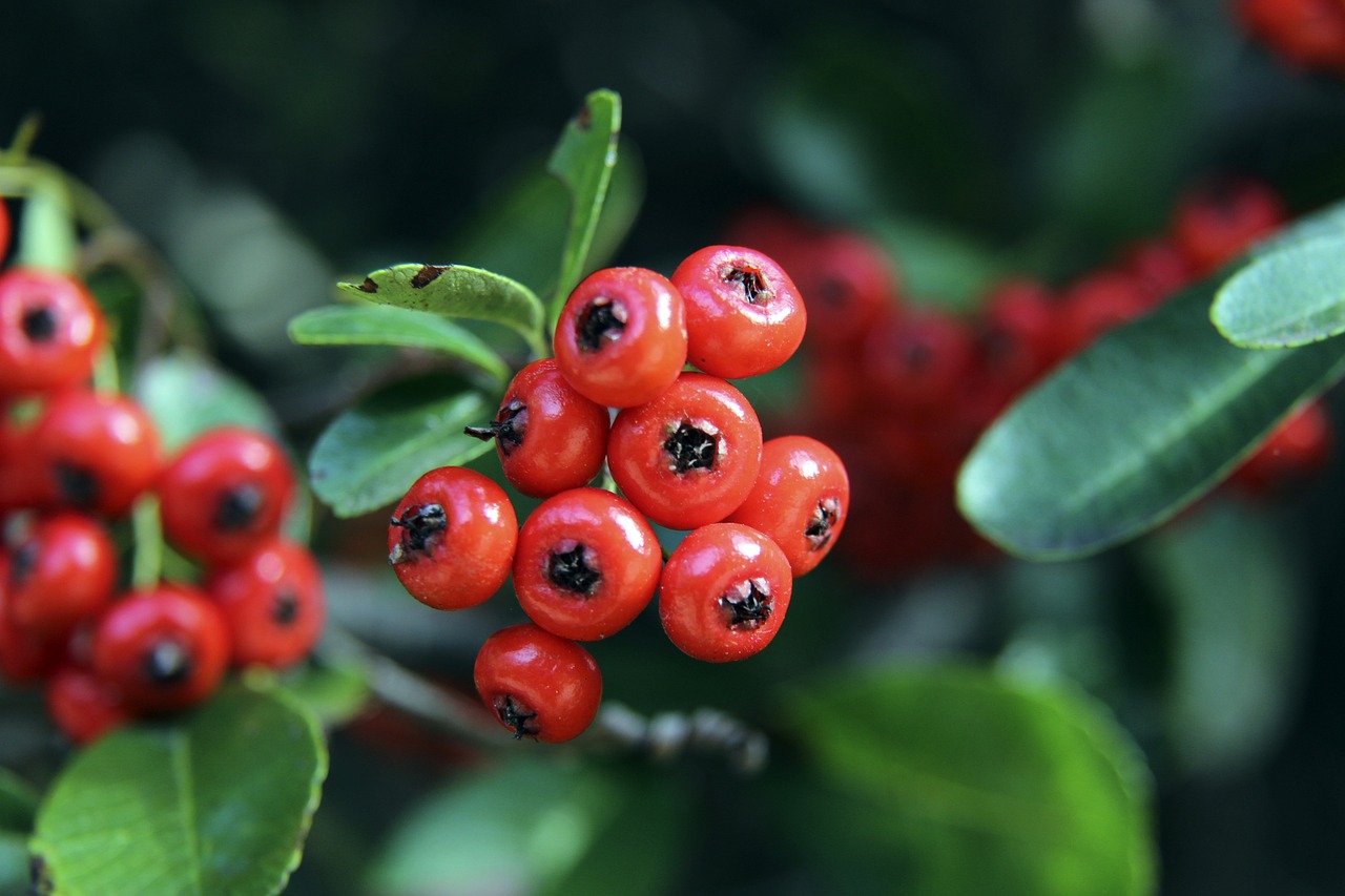 在这次绝妙 在这次绝妙