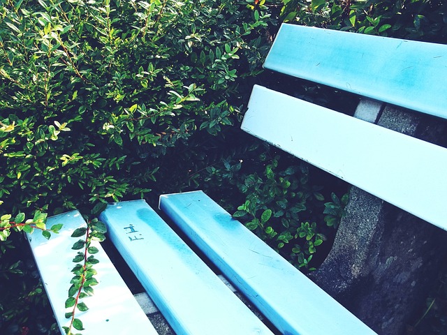 不仅服务于 不仅服务于