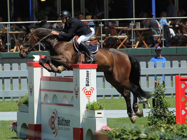 虽然这种数 虽然这种数