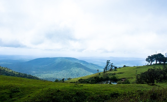 纵横交错 纵横交错