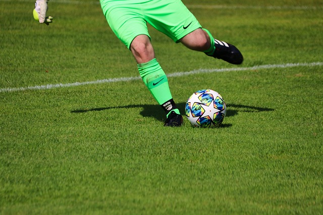 机构相比 机构相比