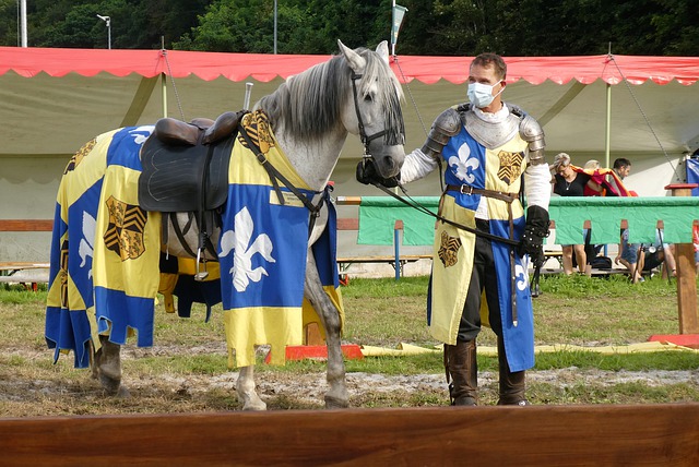 家庭成员之 家庭成员之