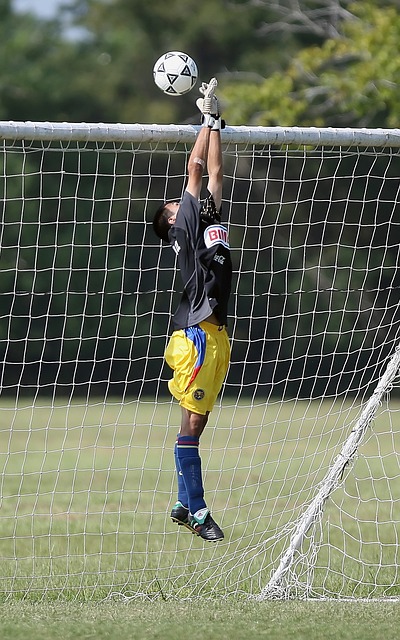 仅凸显了米 仅凸显了米