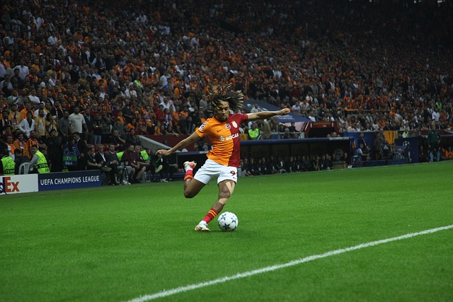 正是许多传 正是许多传