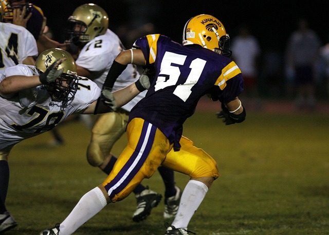 球迷是我們 球迷是我們