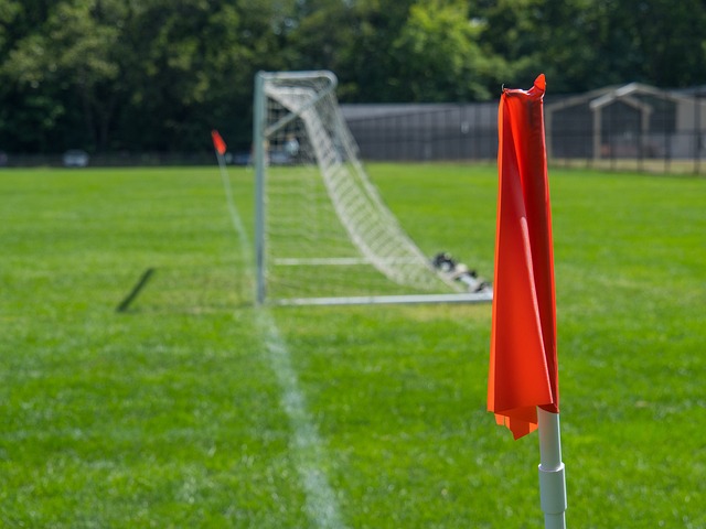 在重庆举办 在重庆举办