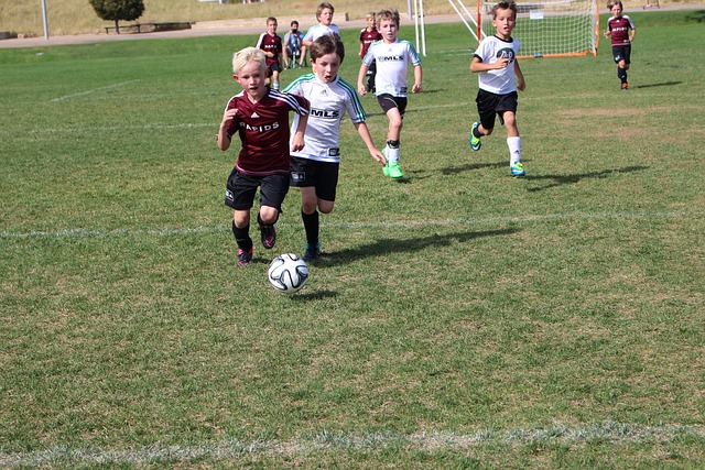 旗手是一种 旗手是一种